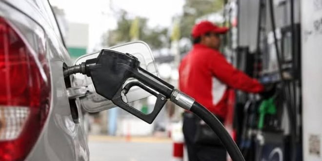 Combustibles congelados: Gobierno mantiene precios y solo sube el fuel oíl
