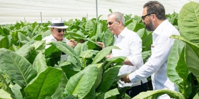 Abinader apuesta por la innovación tabacalera en visita a la finca “La Milagrosa” de Arturo Fuente