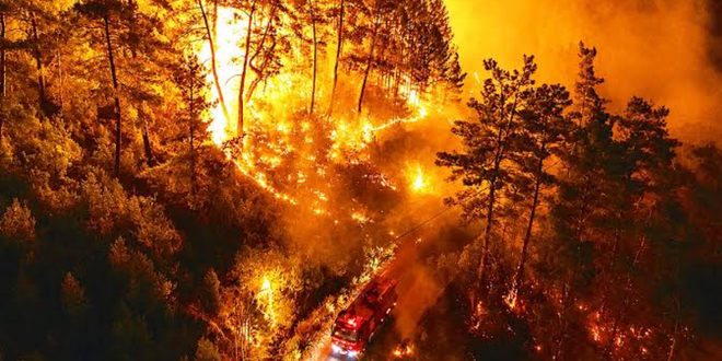 Emergencia en Turquía: un voraz incendio forestal en Antalya amenaza zonas residenciales y agrícolas