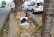 Tragedia en Los Ríos: Dos adultos y una niña de año y medio mueren tras ser embestidos por una camioneta