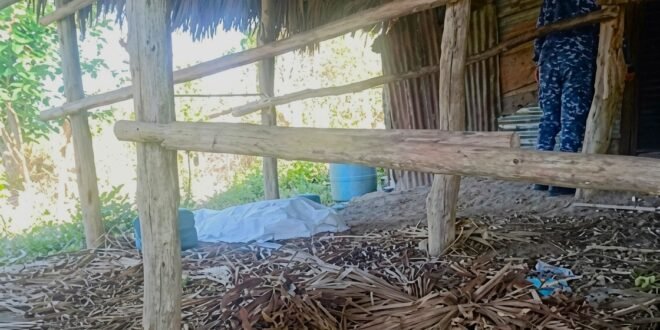 Misterio en San Víctor: Hallan sin vida a un nacional haitiano en una finca de tabaco en Moca
