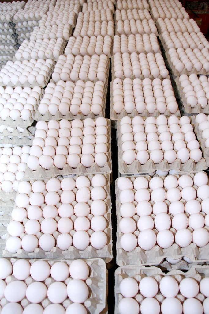 Huevos de Moca, Provincia Espaillat